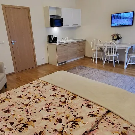 Kuninga 24/2 Old Town * Pärnu